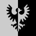 black_falcon_bisected.png