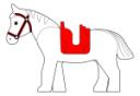 template_horse.png