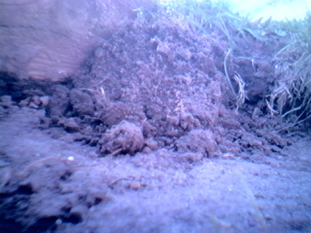image000.jpg