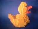 rubberduck2.jpg