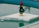 4_feathers_on_ice.jpg