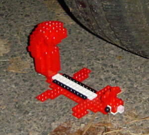 yz_squirrel.jpg