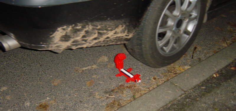 yz_squirrel2.jpg