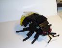 bumblebee3.jpg