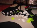 pieces.jpg