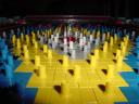 legoplinkopins.jpg