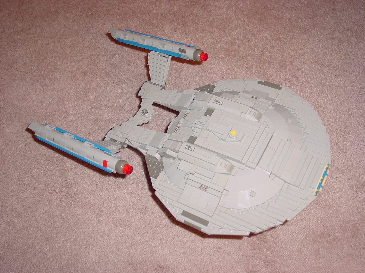 dorsal.jpg