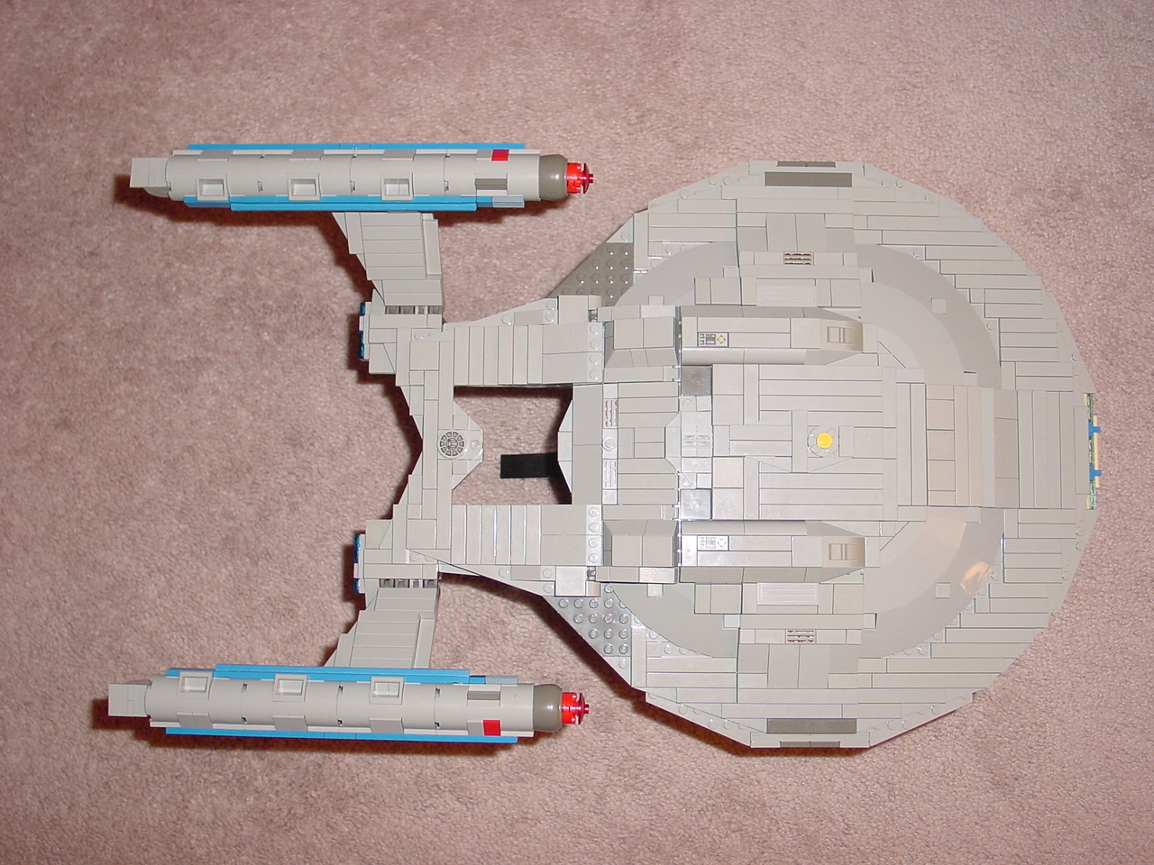 zenith-dorsal.jpg