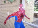 spidey1.jpg