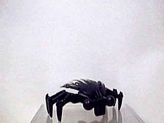 rahi-beetle.jpg