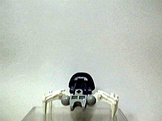 rahi-spider.jpg