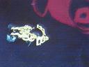 protoss1.jpg