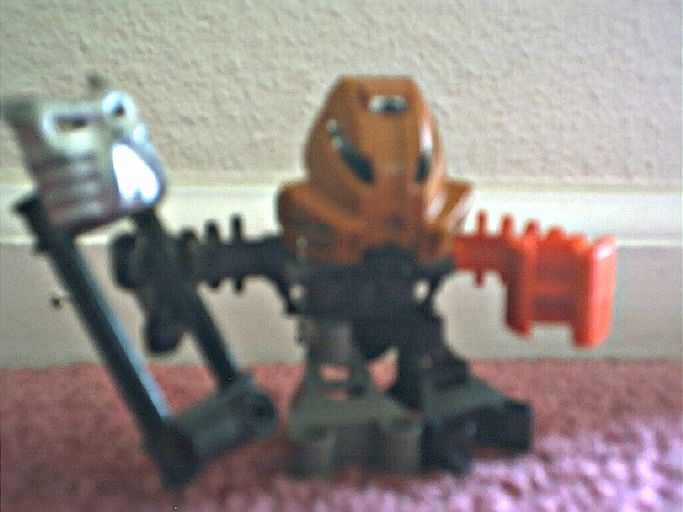 imagematoran.jpg