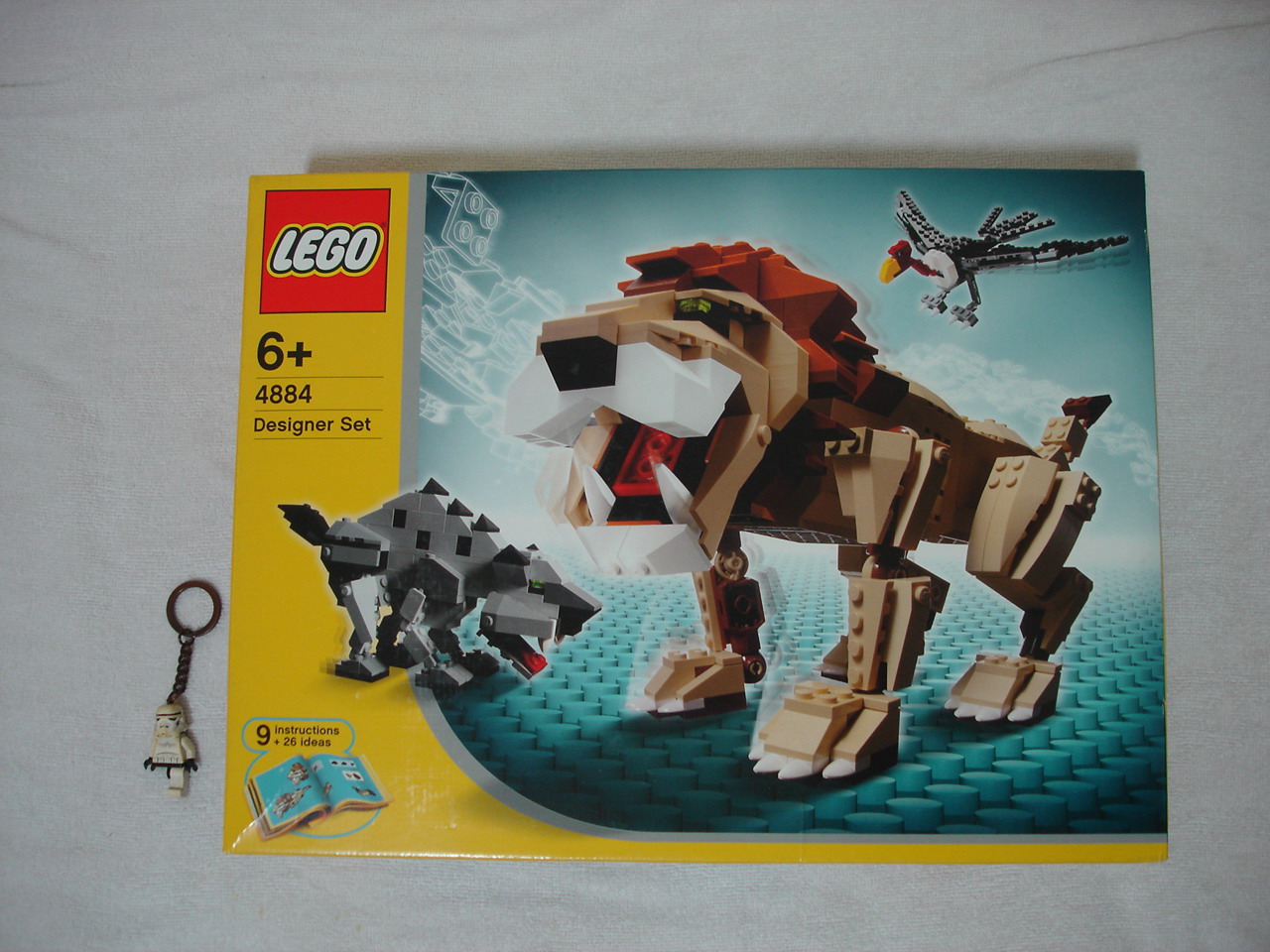 4884-001.jpg