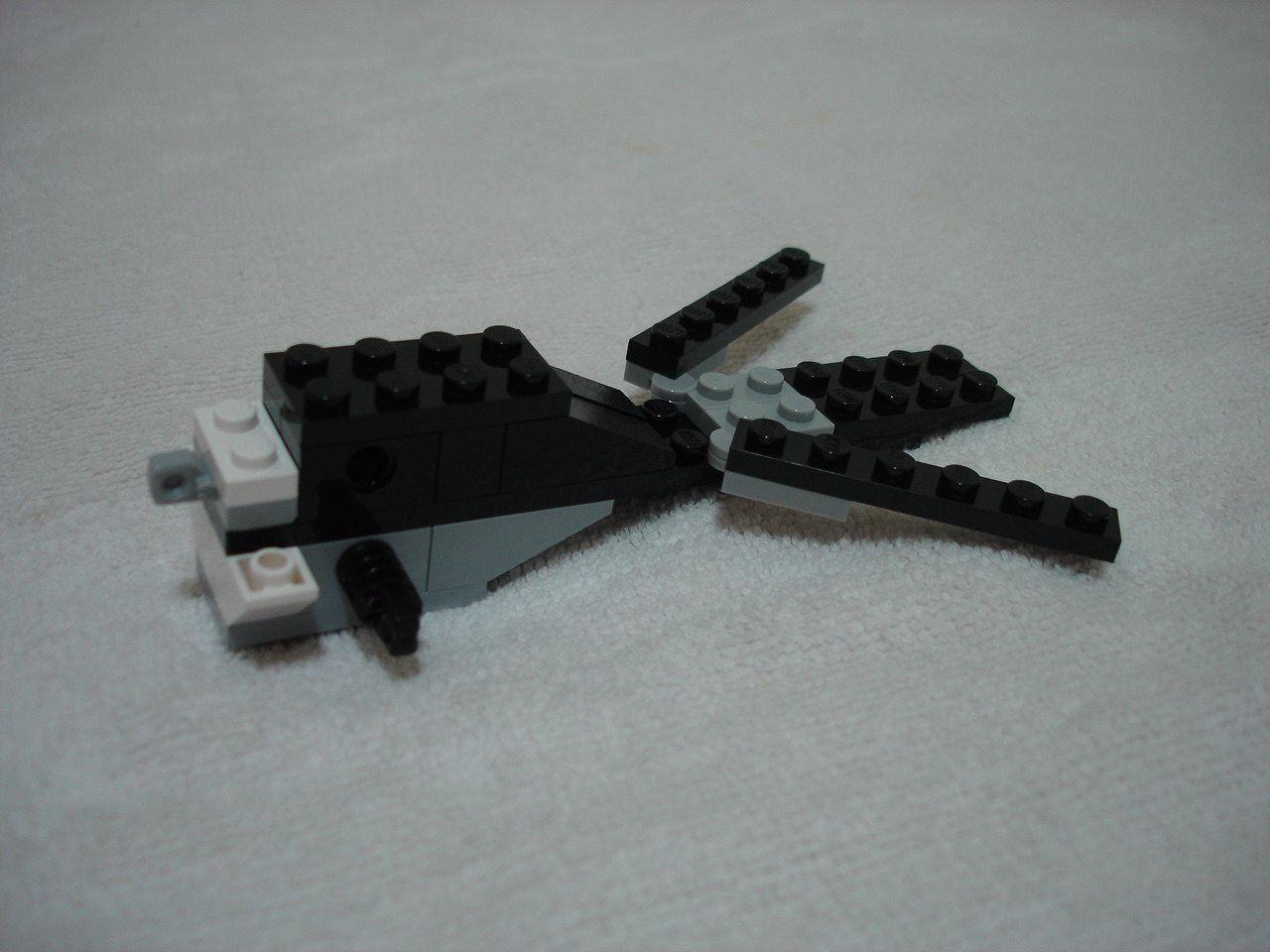 4884-010.jpg