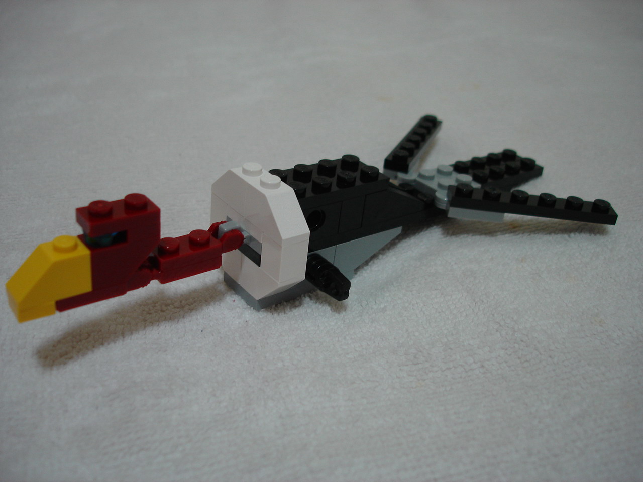 4884-012.jpg