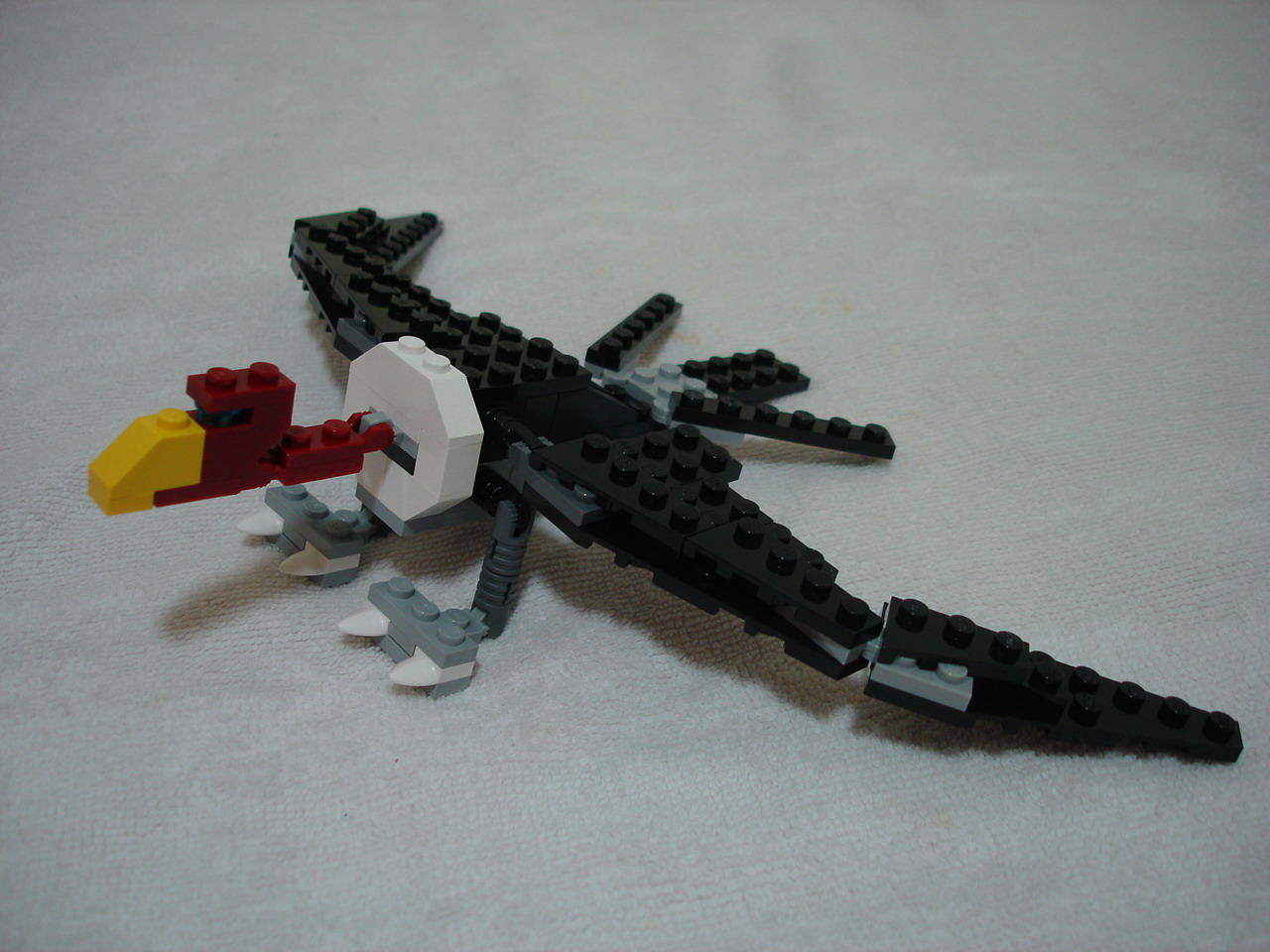 4884-016.jpg