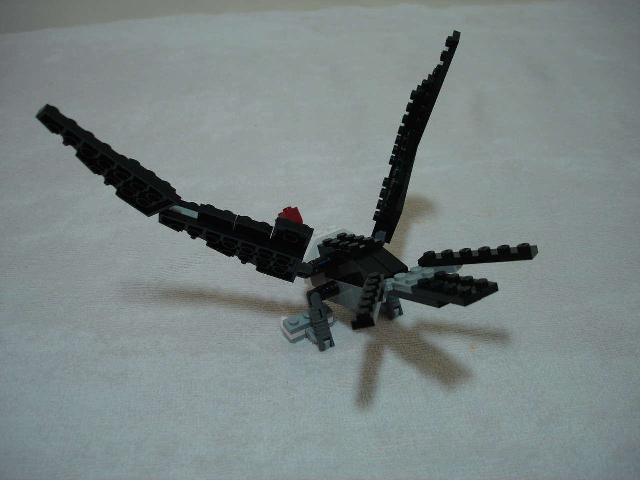 4884-018.jpg