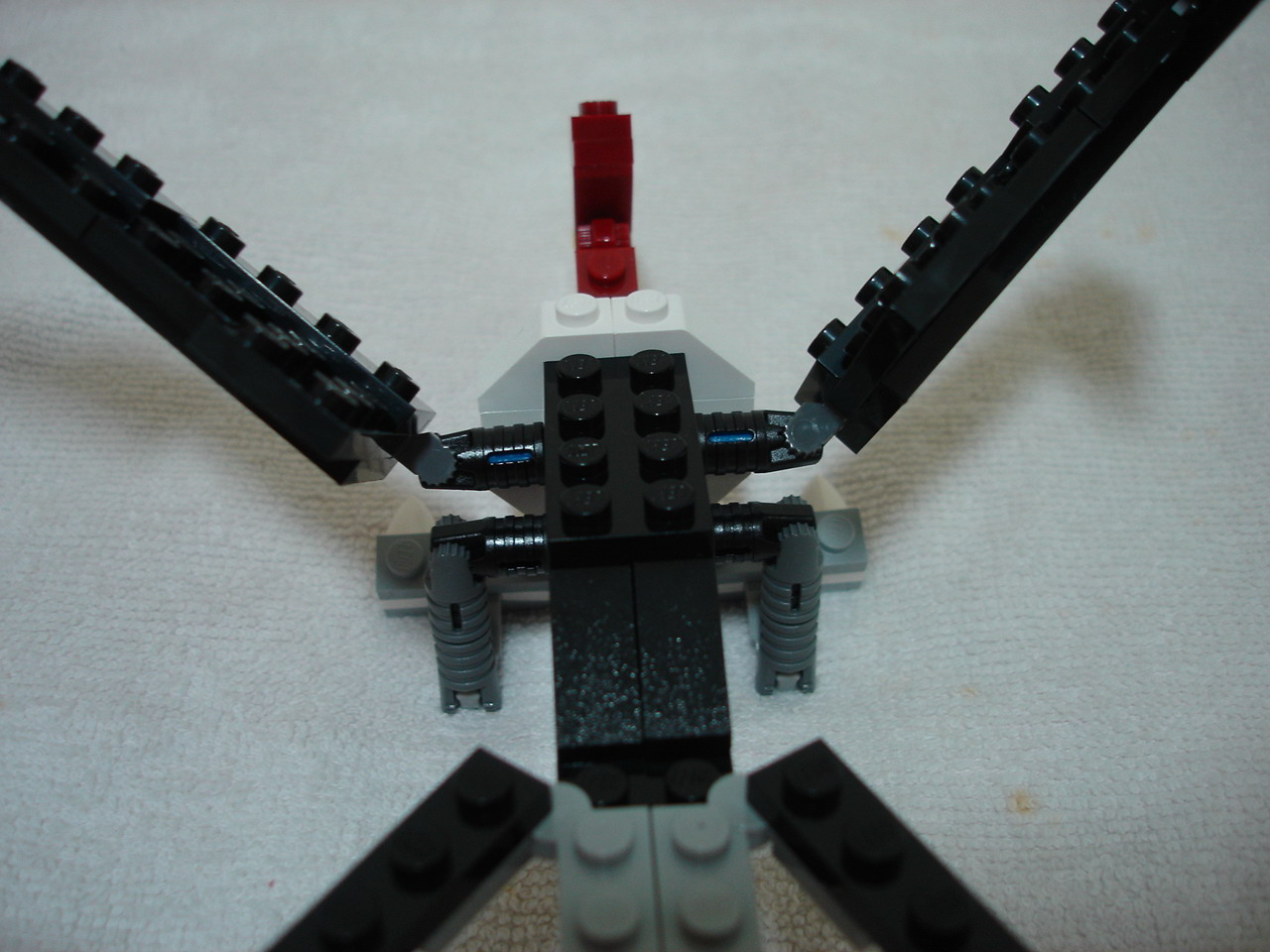 4884-019.jpg