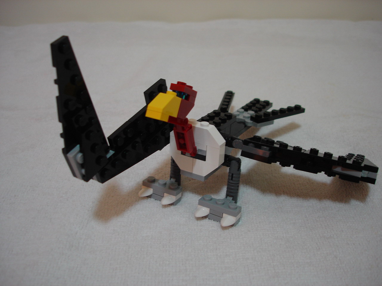 4884-020.jpg