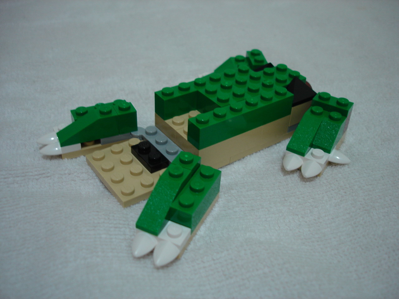 4884-025.jpg