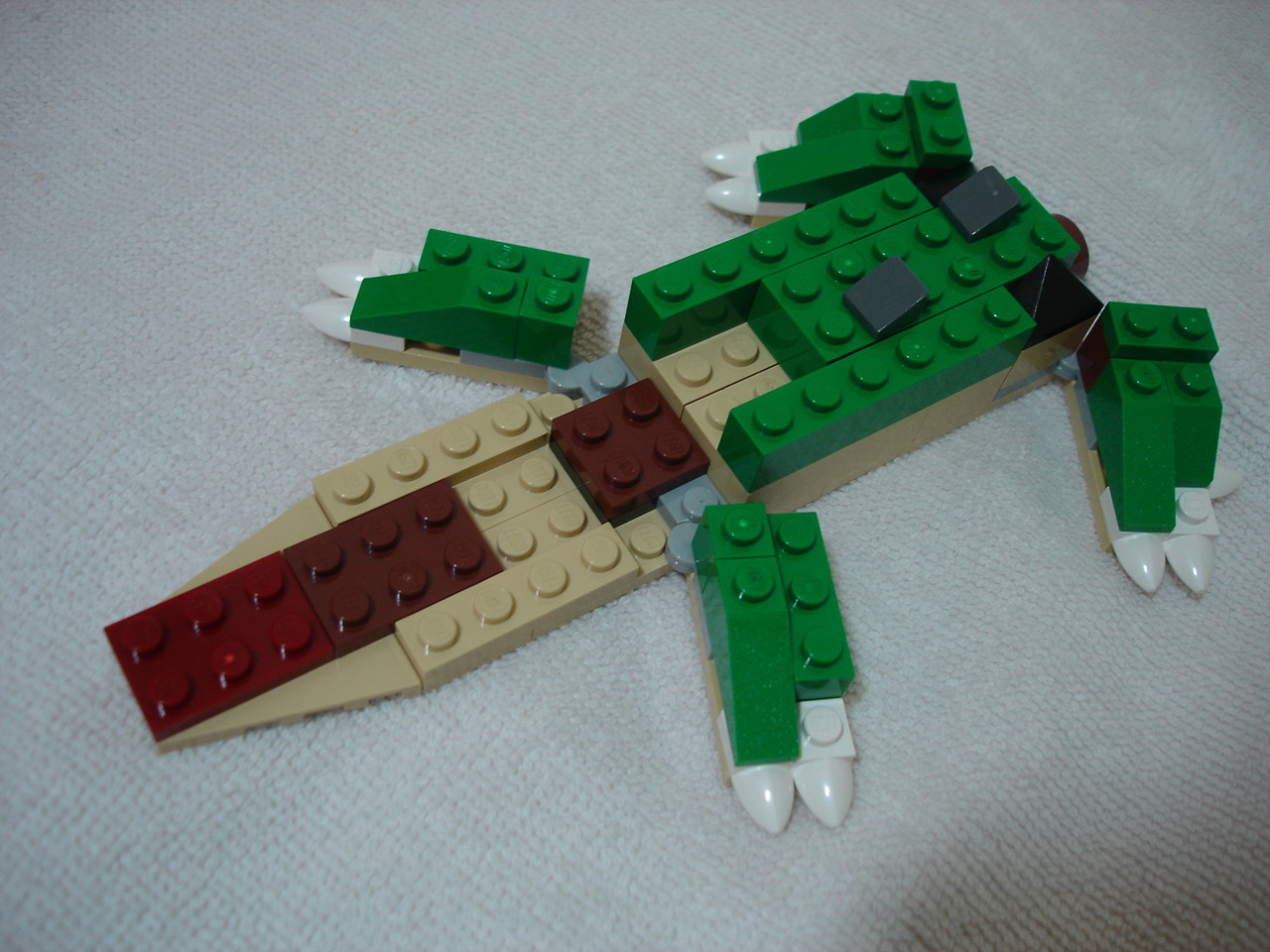 4884-026.jpg