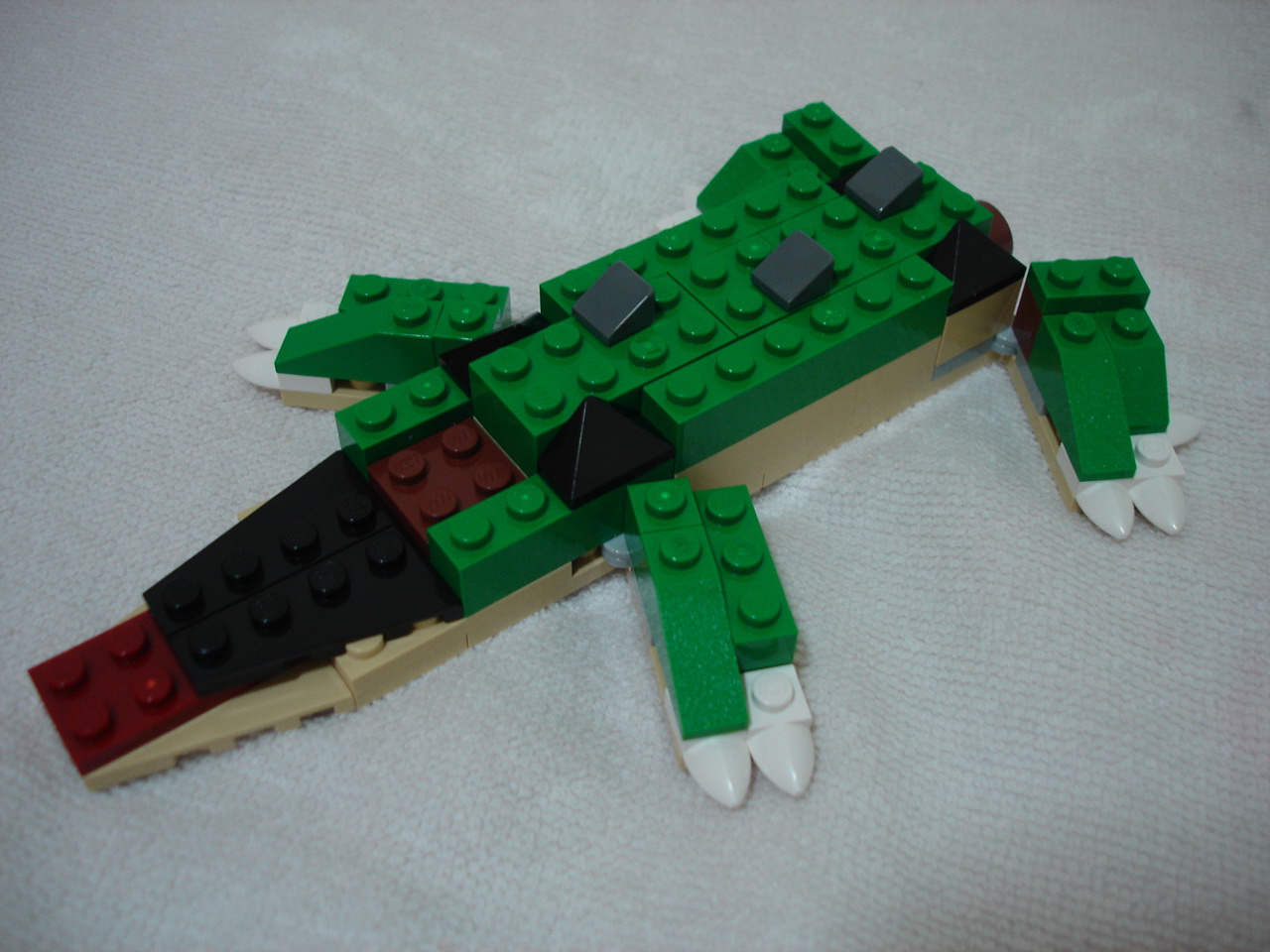 4884-028.jpg