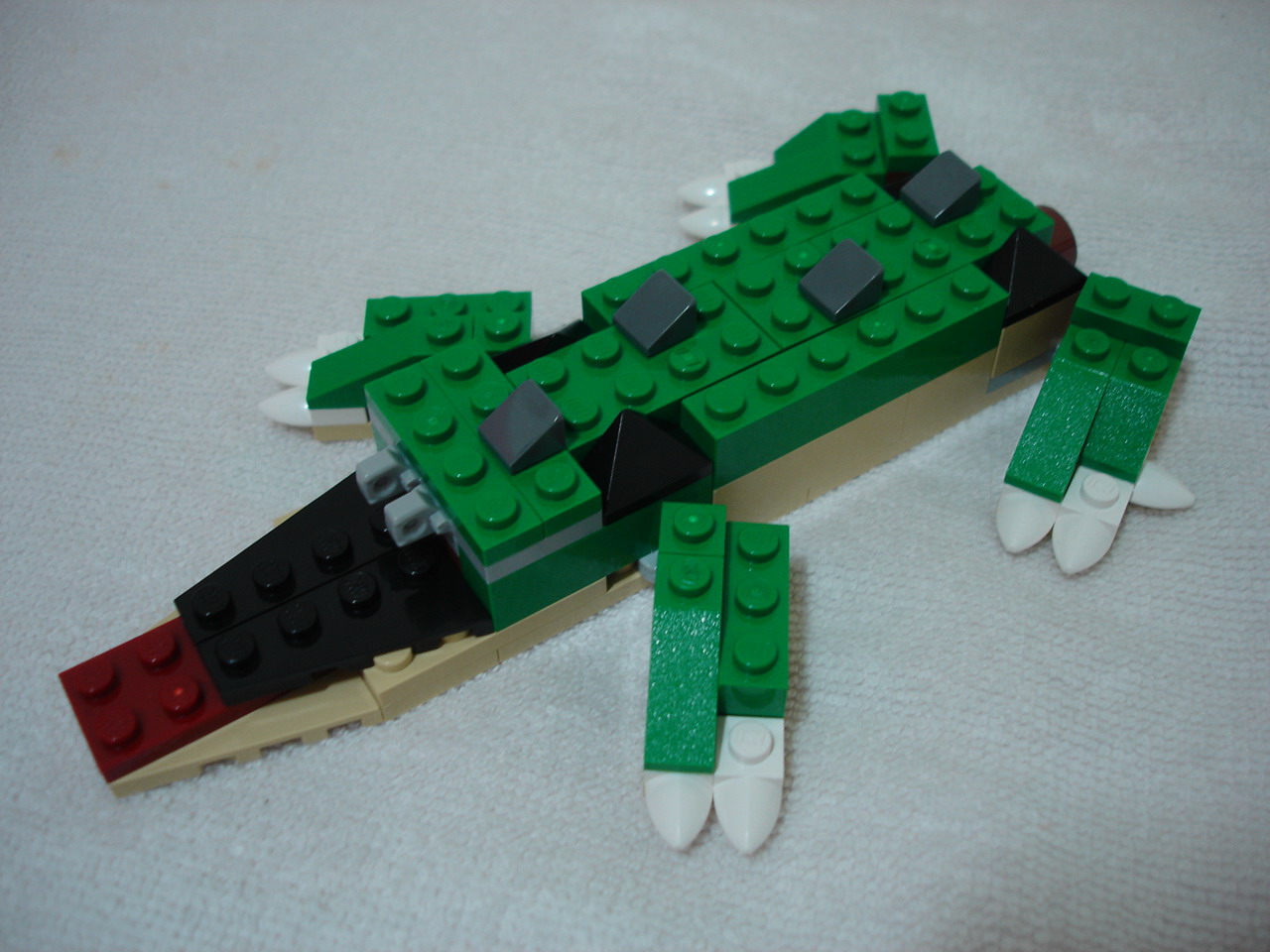 4884-029.jpg