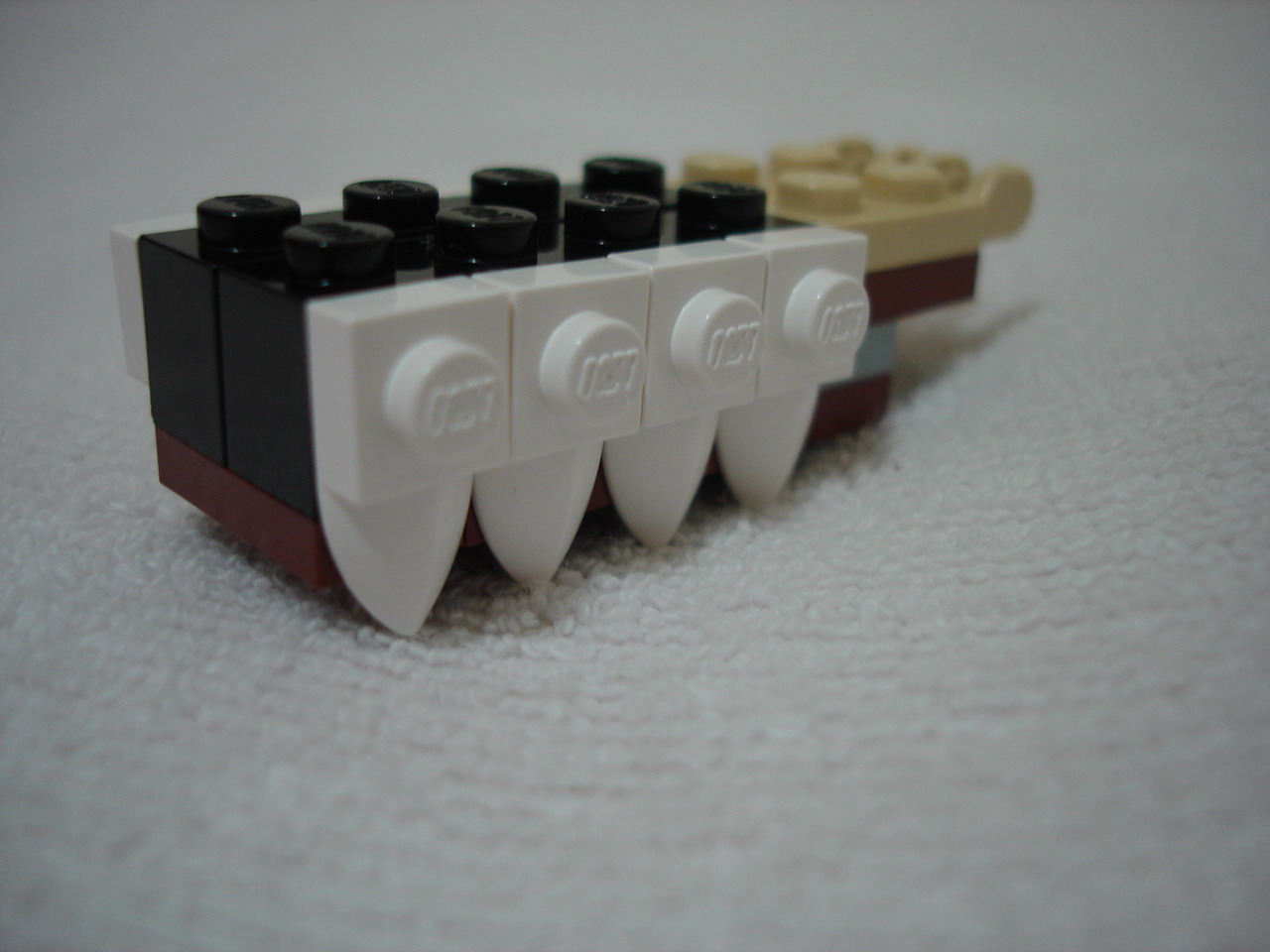 4884-035.jpg