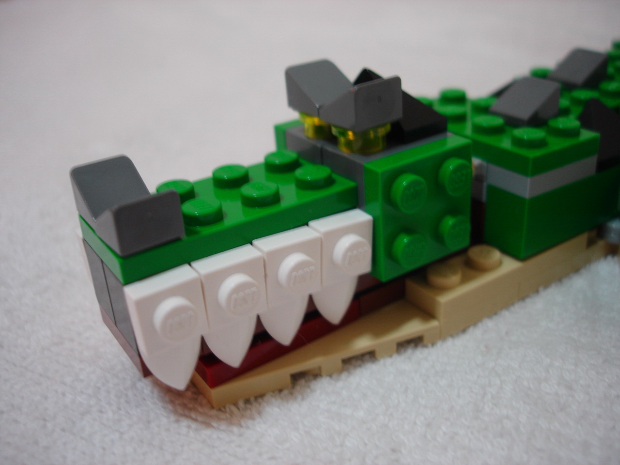 4884-040.jpg