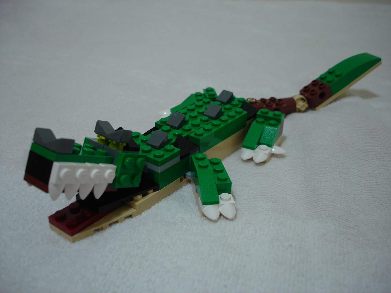 4884-041.jpg