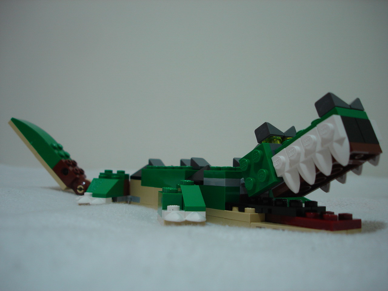 4884-042.jpg