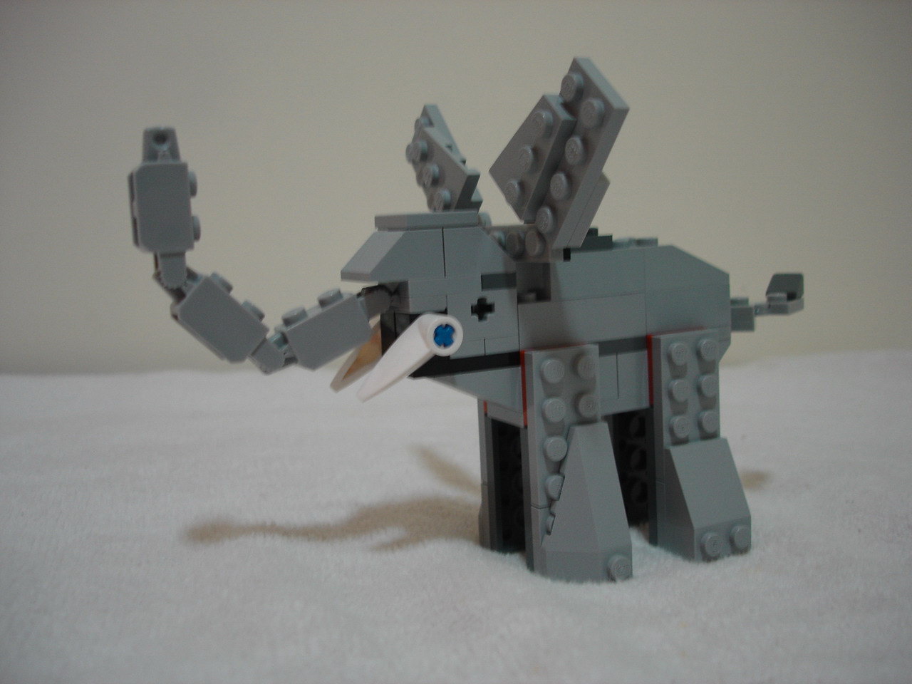 4884-053.jpg