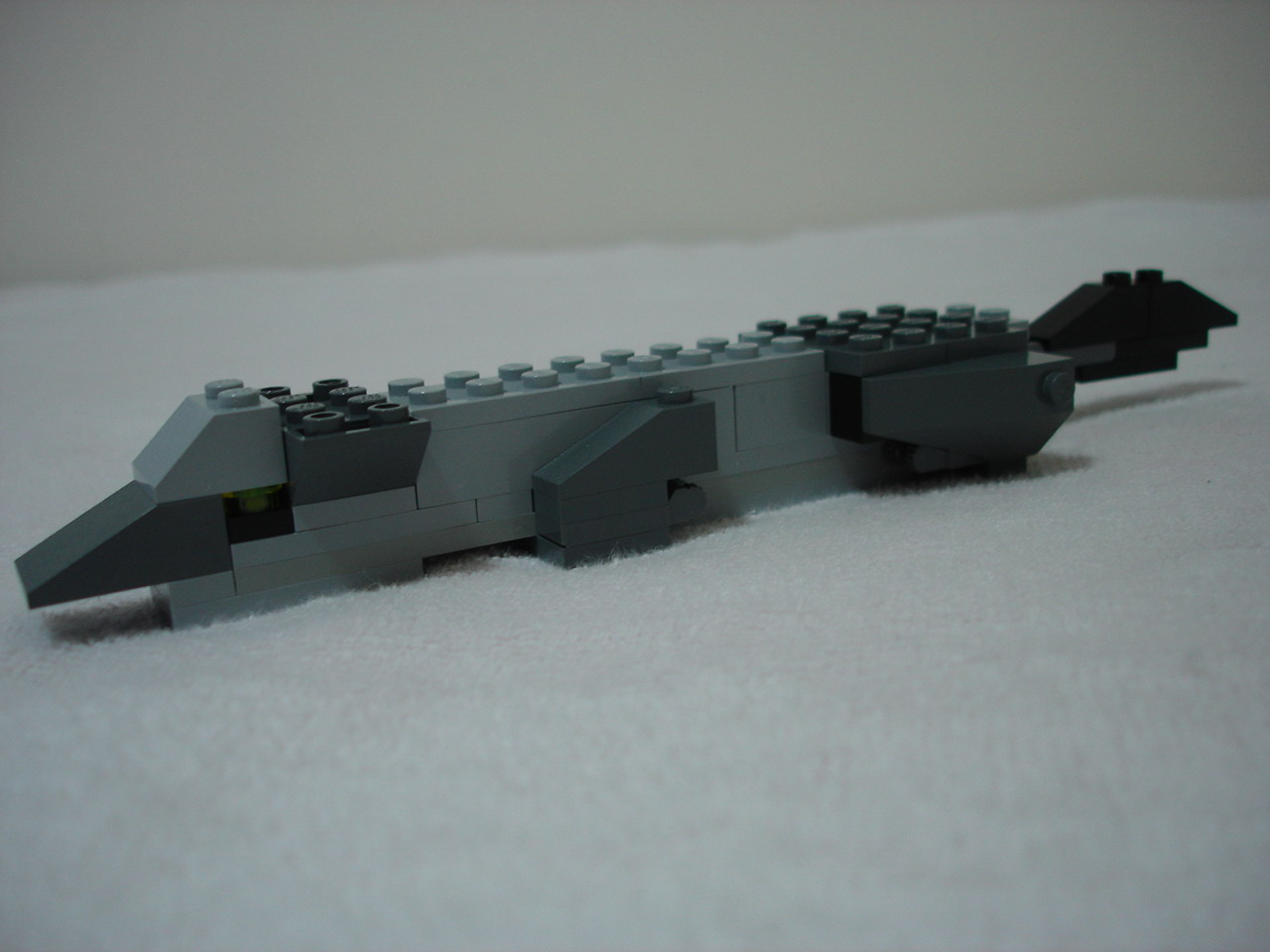 4884-061.jpg