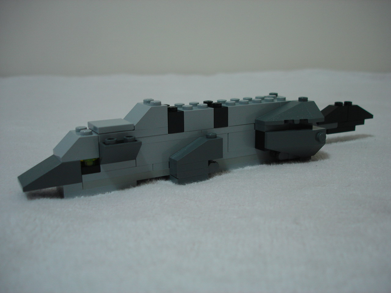 4884-062.jpg