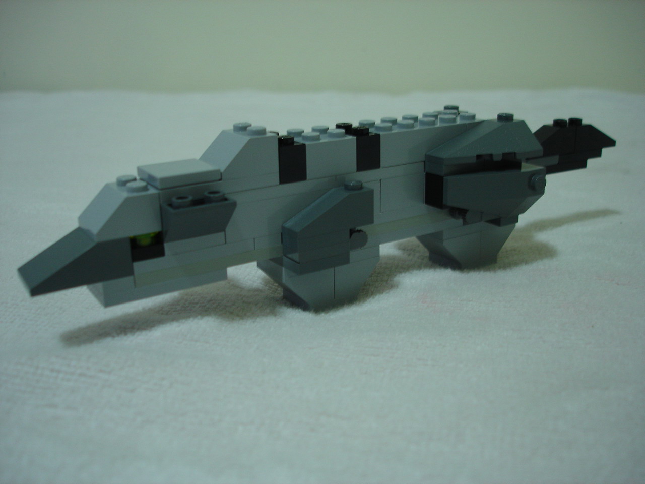 4884-063.jpg