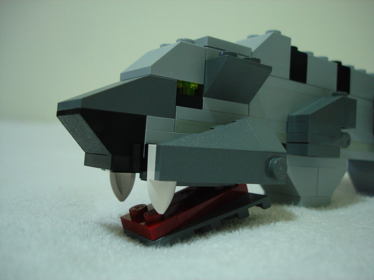 4884-068.jpg