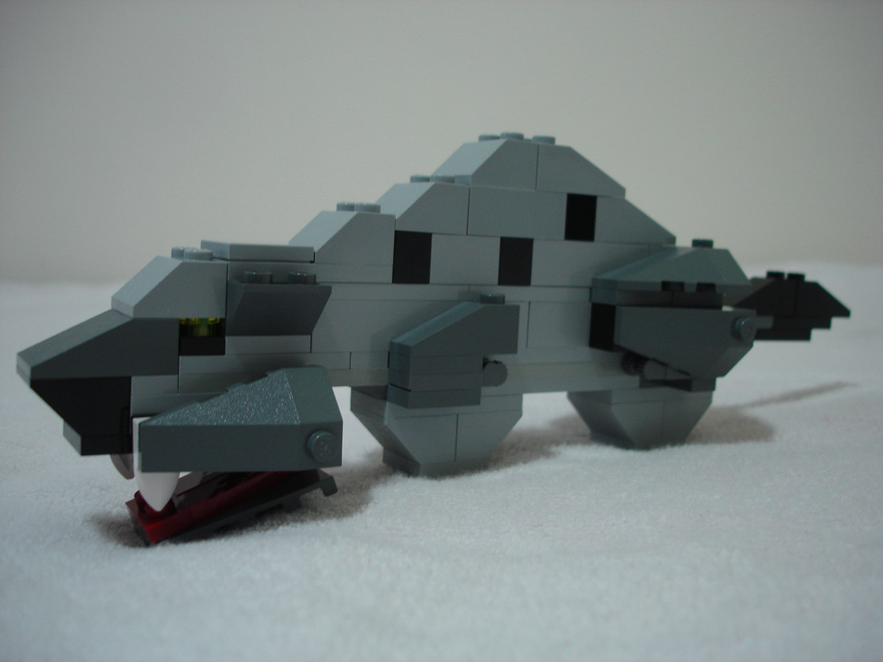 4884-069.jpg