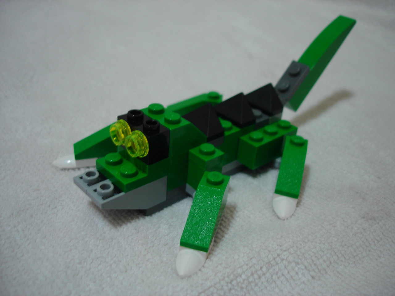 4884-081.jpg