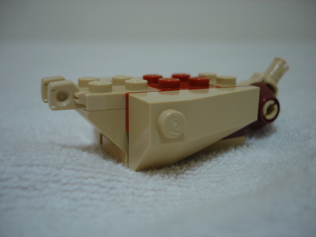 4884-082.jpg