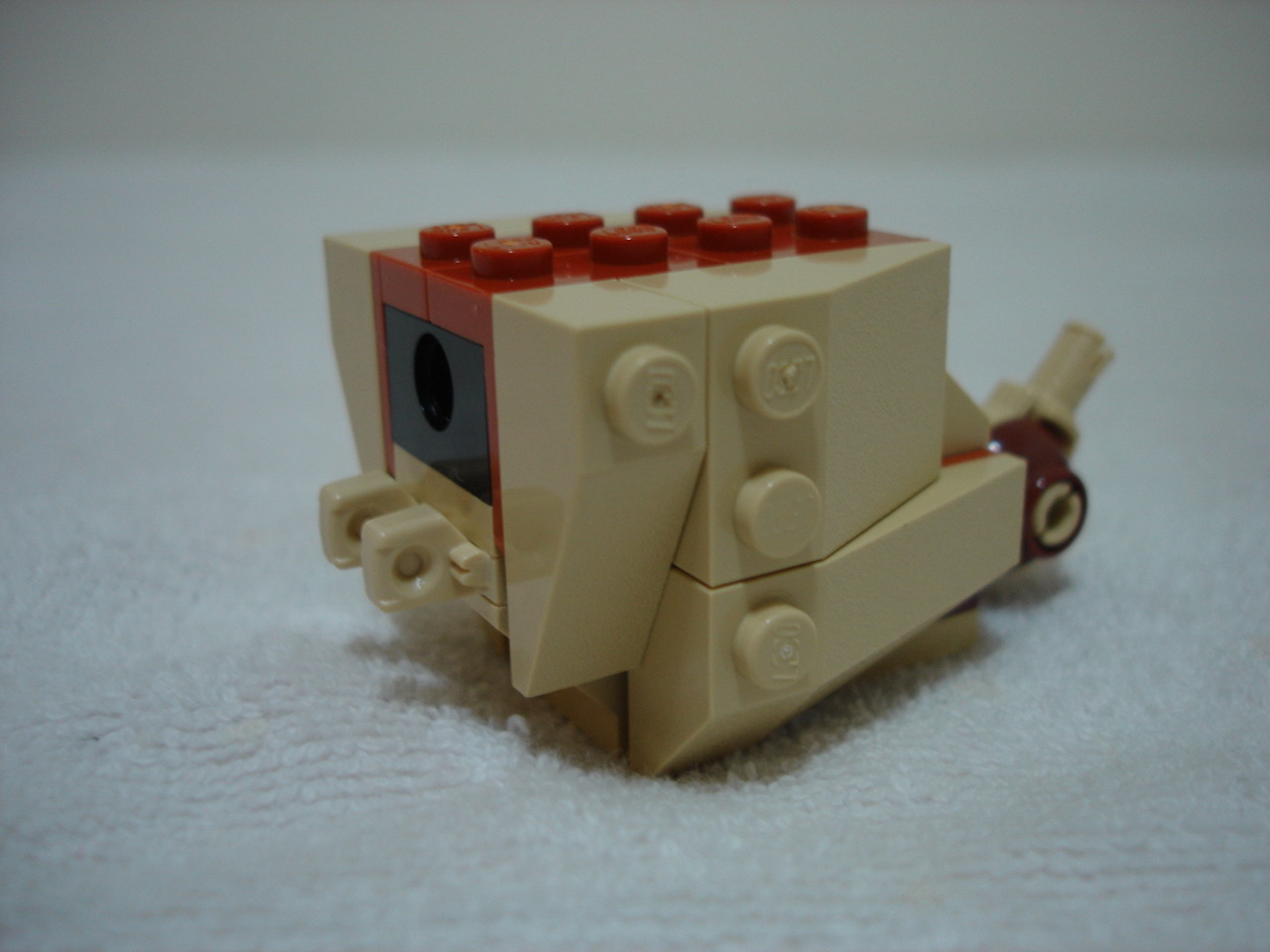 4884-083.jpg