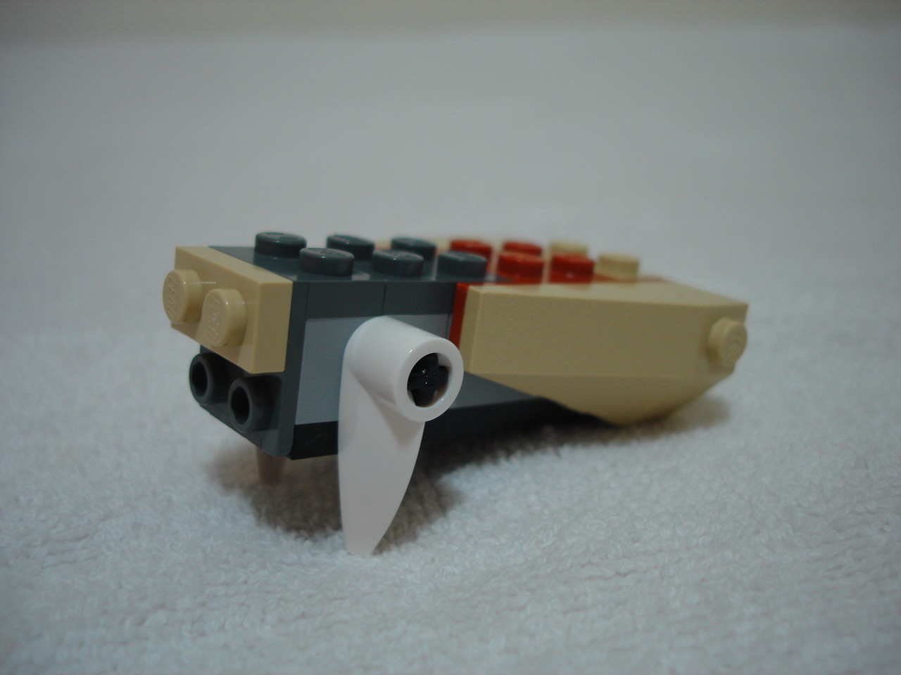 4884-089.jpg