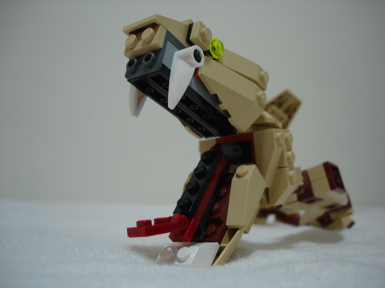 4884-098.jpg