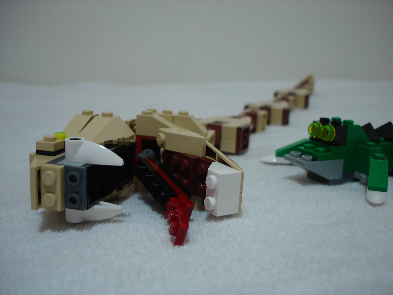 4884-099.jpg