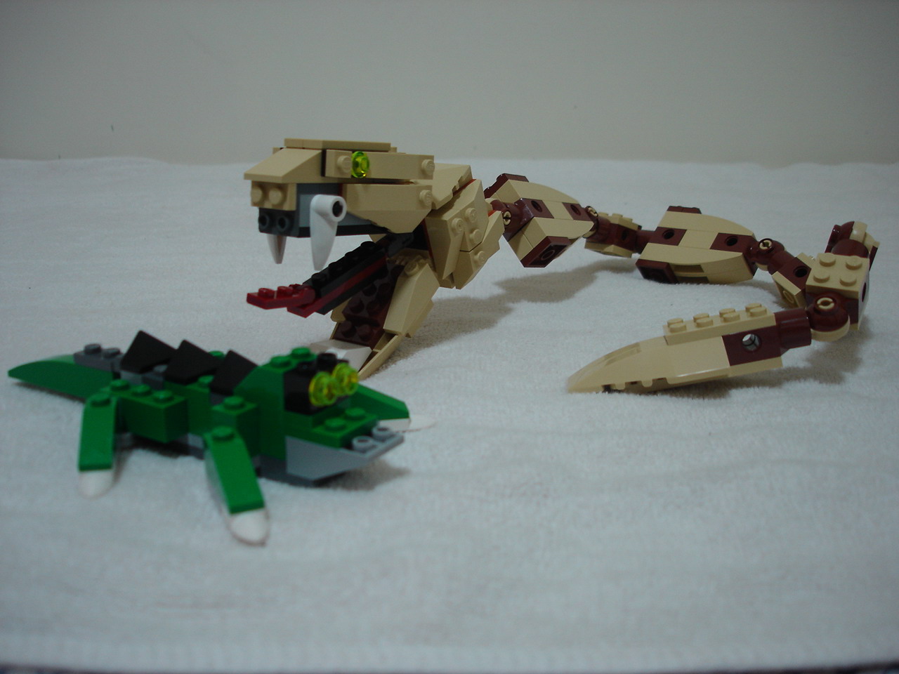 4884-100.jpg