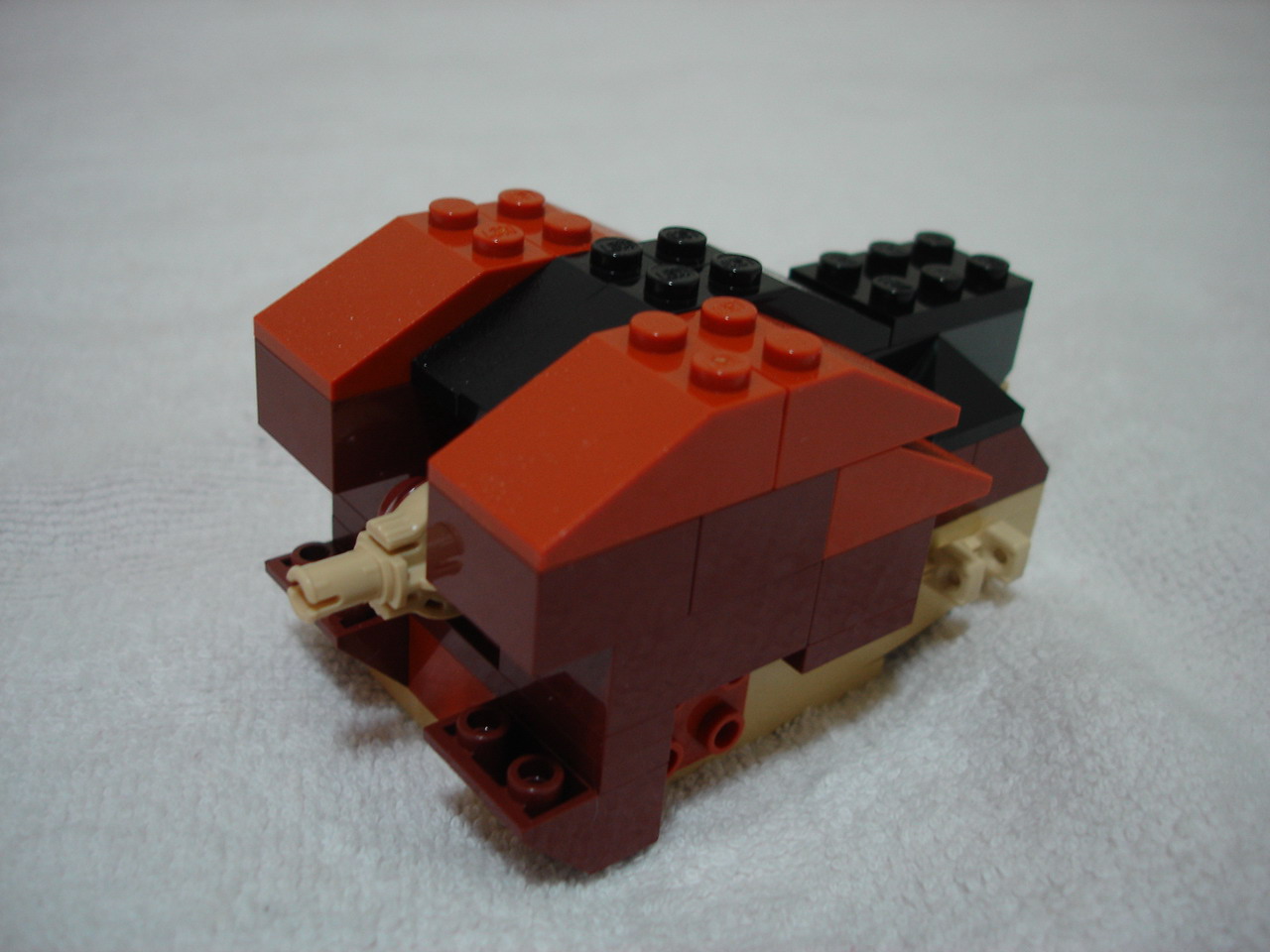 4884-107.jpg