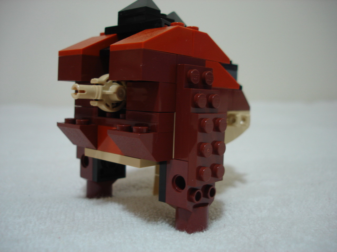 4884-110.jpg