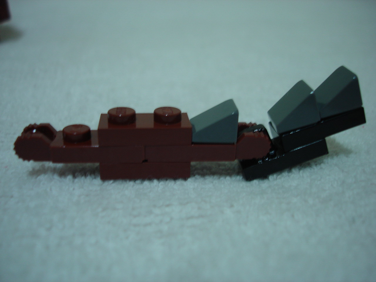 4884-113.jpg