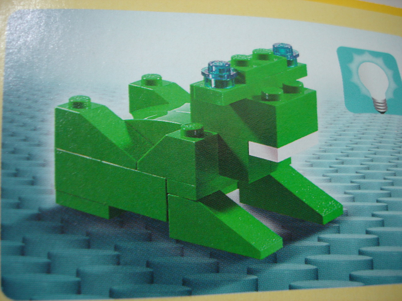 4884-125.jpg