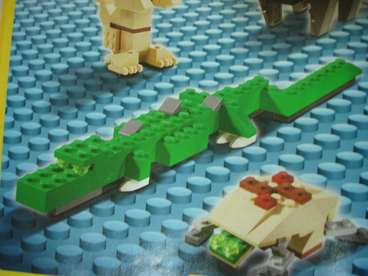 4884-127.jpg